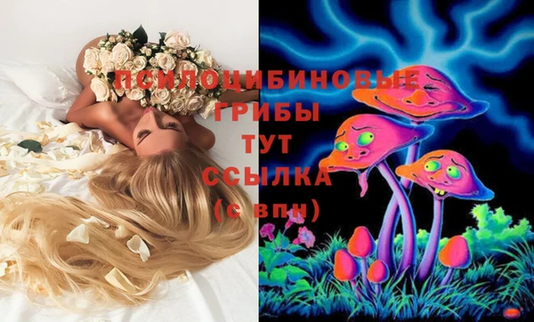 PSILOCYBIN Майский