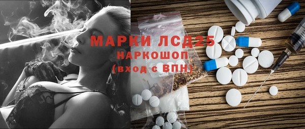 PSILOCYBIN Майский