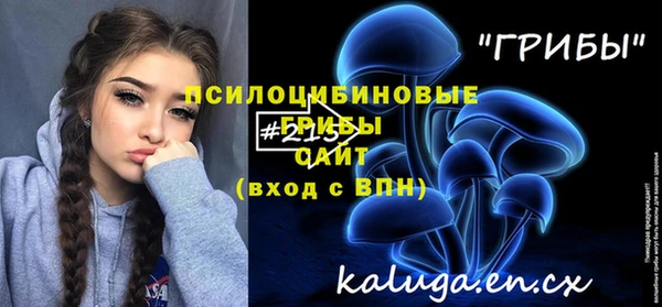 PSILOCYBIN Майский