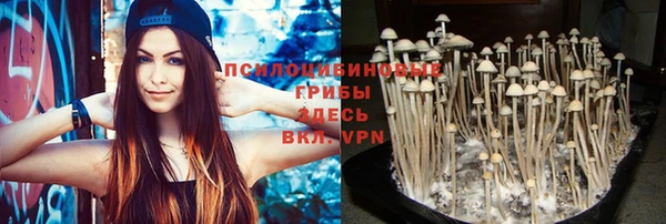 хмурый Магадан