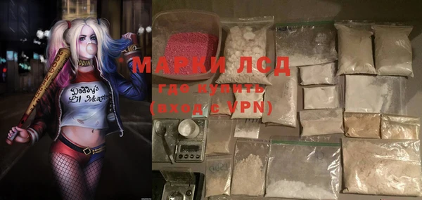 PSILOCYBIN Майский