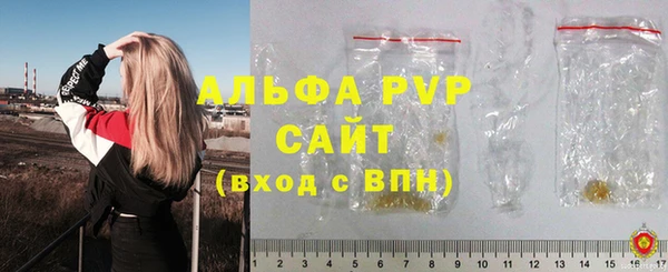 PSILOCYBIN Майский