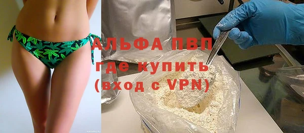 PSILOCYBIN Майский